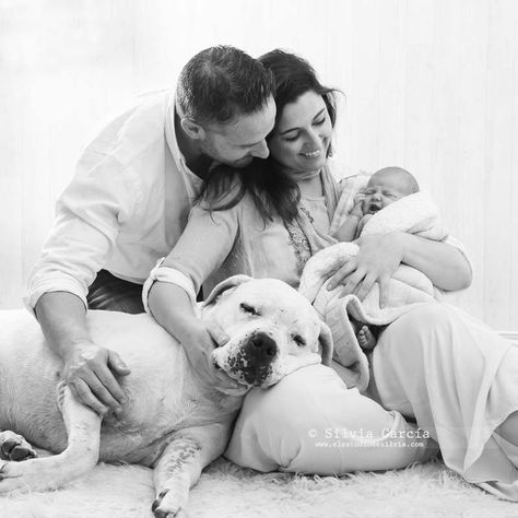 Newborn And Dog, Newborn Photo Pose, Newborn Family Pictures, Newborn Photos Boy, Family Photos With Baby, Baby Pictures Newborn, Newborn Family Photos, Newborn Mom, Baby Photoshoot Boy