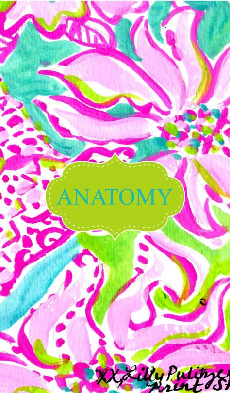 Anatomy binder cover Anatomy Binder Cover, Cute Binder Covers, Back To School Wallpaper, Car Organization Diy, Monogram Wallpaper, Iphone 6 Plus Wallpaper, Binder Covers Printable, Wallpaper Notebook, School Binder