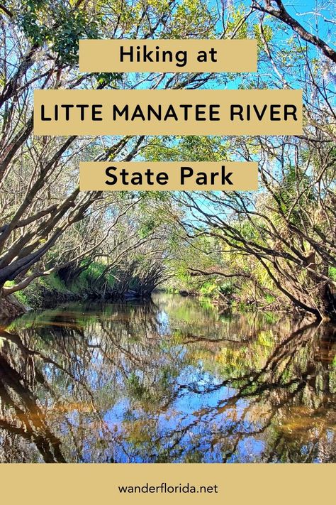 If you’re an outdoor enthusiast looking for a scenic hike, Little Manatee River State Park is the perfect destination. The park offers more than 20 miles of trails including 6.5-mile trail that winds through diverse habitats, including scrub, palm hammocks, and bluff forest. The trail is rugged and scenic, with river bluffs and creek bottoms to explore. Hiking at Little Manatee River State Park is a must-do for anyone looking for a challenging and rewarding hike in Florida’s beautiful outdoors. Florida Hiking, Best Hiking Trails In Florida, Hiking In Florida, Swell Water Bottle, Florida State Parks Map, Blue Spring State Park Florida, Deer Lake State Park Florida, Hiking Pack, Florida State Parks