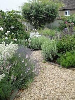 Pea Gravel Garden, Mediterranean Garden Design, Gravel Garden, Rock Garden Landscaping, Have Inspiration, Mediterranean Garden, The Secret Garden, Garden Path, Garden Pathway