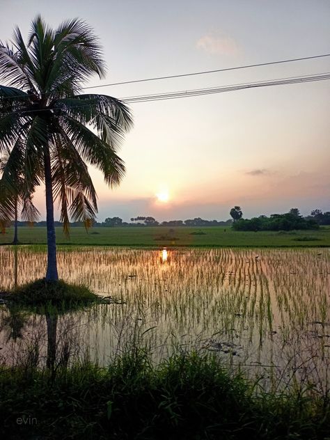 In nature, nothing is perfect and everything is perfect #village #sunset #farm #SouthIndia #TamilNadu Tamilnadu Village Photography, Luxury Car Logos, Nothing Is Perfect, Farm Village, Everything Is Perfect, Village Photography, Ghost Photos, Sky Pictures, South India