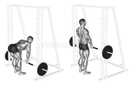 Exercising. Smith Machine dead lifts. Smith Machine dead lifts. Exercising for bodybuilding. Target muscles are marked in red. Initial and final steps royalty free illustration Dead Lift Workout, Deadlift Workout, Straight Leg Deadlift, Deadlift Variations, Dead Lifts, Stiff Leg Deadlift, Rear Delt, Body Coach, Workout Splits