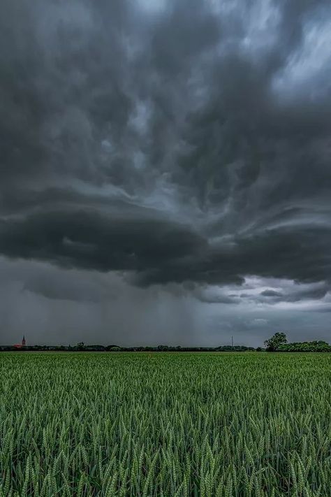 Overcast Weather, Dark Naturalism, Field Wallpaper, Storm Chasing, Best Nature Images, Foggy Mountains, Cloudy Weather, Wild Weather, Pretty Landscapes