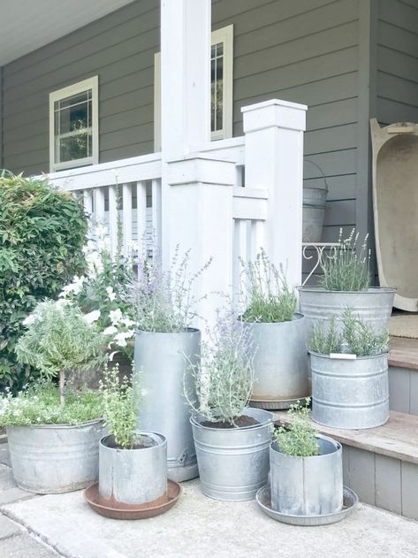 Little Farmstead: Vintage Galvanized Planters (Buckets) on our Farmhouse Porch... Metal Buckets, Farmhouse Porch Decor, Galvanized Planters, Porch Remodel, Modern Front Yard, نباتات منزلية, Farmhouse Landscaping, Farmhouse Front Porches, Summer Porch