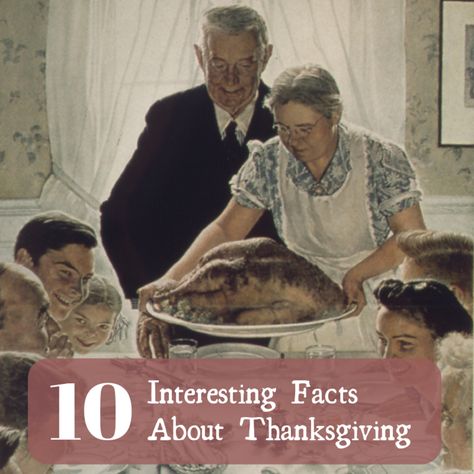 10 Unique and Interesting Fun Facts About Thanksgiving. The Thanksgiving holiday has a long and storied history and has sparked many unique traditions. Here are 10 interesting fun facts about Thanksgiving. Thanksgiving History Facts, Facts About Thanksgiving, Freedom From Want, Painting Freedom, Interesting Fun Facts, Thanksgiving History, Thanksgiving Facts, Rockwell Paintings, Norman Rockwell Paintings