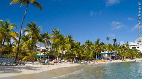 Cowpet Bay via @Virgin_Islands St Thomas Beaches, The Us Virgin Islands, St Thomas Usvi, Water Island, The Virgin Islands, Best Snorkeling, Coconut Trees, Us Virgin Islands, St Thomas