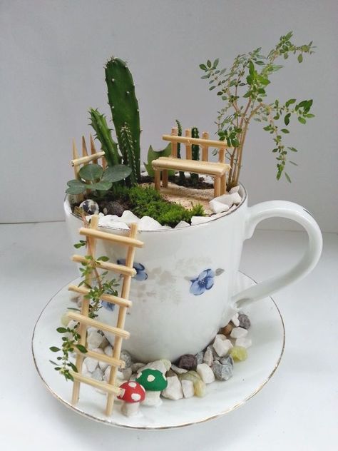 Teacup Fairy Garden, Kaktus Dan Sukulen, Fairy Garden Ideas, Teacup Gardens, Teacup Crafts, Fairy Garden Designs, Fairy Garden Crafts, Tea Diy, Survival Gardening