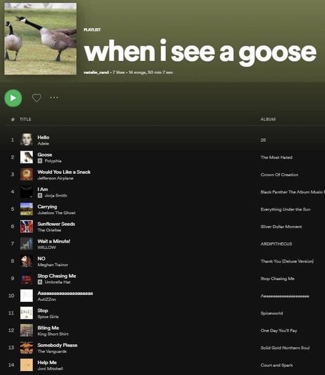 Weird Spotify Playlist Covers, Funny Spotify Playlist Names, Funny Spotify Playlist, Spotify Funny, Best Spotify Playlists, Silly Songs, Spotify Playlists, Playlist Covers, Silly Images