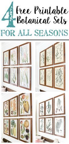 Four free printable sets of botanical art for all seasons of the year- spring, summer, winter, and fall - $3 each on color engineer prints or free from your own printer to frame as wall decor. #gallerywall #freeprintable #freeart Botanical Gallery Wall, Gallery Wall Printables, Farmhouse Side Table, Engineer Prints, Free Printable Wall Art, Decorating On A Budget, Diy Wall, Diy Wall Decor, Home Decor Ideas