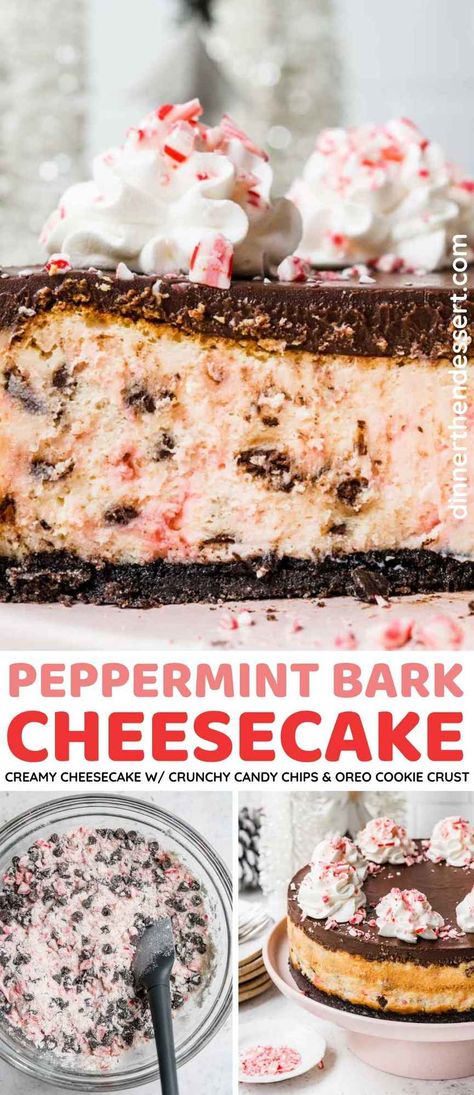 Peppermint Bark Cheesecake, Peppermint Cheesecake, Oreo Cookie Crust, Rich Desserts, Mouthwatering Recipes, Peppermint Bark, Mini Cheesecakes, Creamy Cheesecake, Chocolate Peppermint