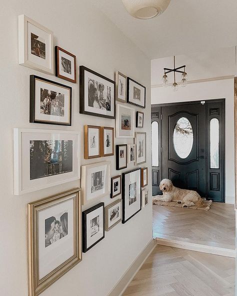 Family Photo Gallery Wall, Hallway Gallery Wall, Sandberg Wallpaper, Framed Photos, Photo Wall Gallery, Gallery Wall Inspiration, Gallery Wall Living Room, Wall Gallery, Inspiration Wall