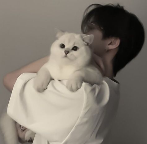 Cat Korean, Korean Boy, Cat Aesthetic, White