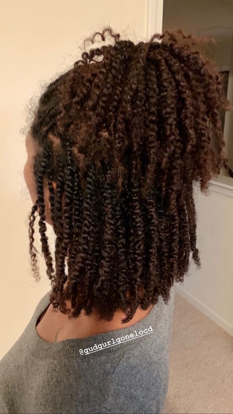 Senegalese Twist Braids, Cabello Afro Natural, Curly Short, Natural Hair Twists, 4c Natural, Twist Braid Hairstyles, Hair Twist Styles, Natural Hair Styles Easy, Natural Hair Braids