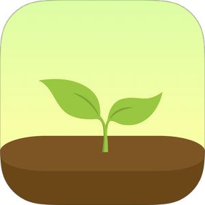 Forest by Seekrtech by ShaoKan Pi Forest App, To Do App, Pomodoro Timer, Put Your Phone Down, Study Apps, Box Of Sunshine, Apple Health, Time Tracker, Productive Habits