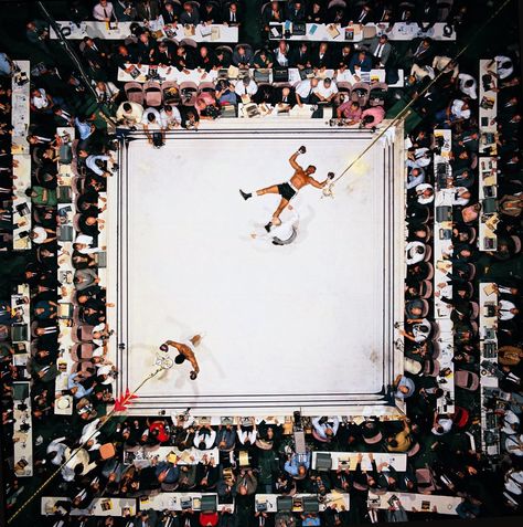 Neil Leifer, Jesse Owens, Mohamed Ali, Muhammed Ali, Rare Historical Photos, Mohammed Ali, George Foreman, Sports Images, Bob Ross