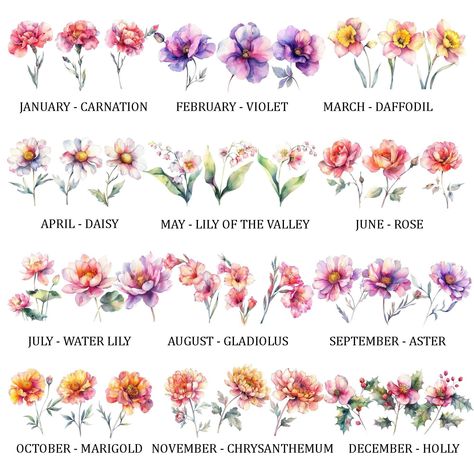 Flowers For Each Month, Flower Clipart Png, Birthday Month Flowers, Flower Bundle, Month Flowers, Digital Drawings, Flower Svg, Birth Month Flowers, Flower Clipart