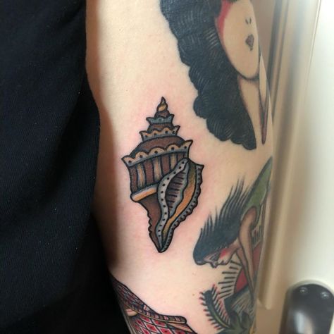 Nautilus Shell Tattoo, Traditional Sea Tattoo, Sea Shell Tattoo, Shell Tattoo, Shell Tattoos, Sea Tattoo, Nautilus Shell, Ink Ideas, Many Thanks