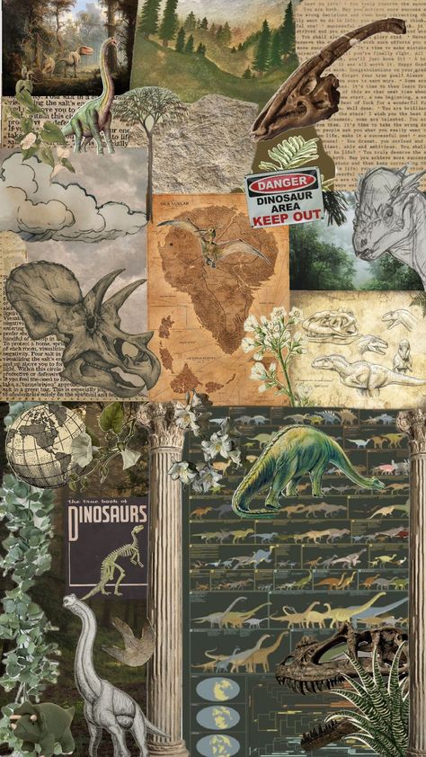 Wallpaper Backgrounds Dinosaur, Palentogist Aesthetic, Paleontology Wallpaper, Paleontologist Aesthetic, Fossil Wallpaper, Paleontology Aesthetic, Dinosaur Aesthetic, Jurassic World Wallpaper, College Wallpaper