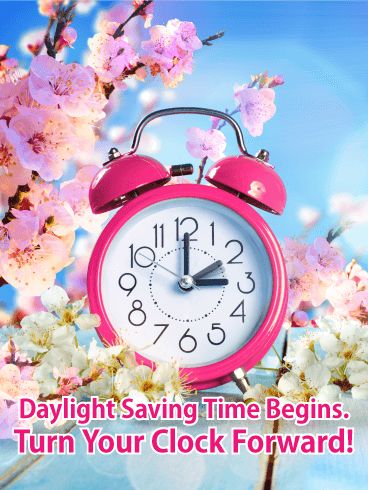 Daylight Savings Time Quotes, Daylight Savings Time Spring, Fall Back Time, Spring Forward Fall Back, Daylight Savings Time Humor, Clocks Forward, Spring Ahead, Daylight Saving Time, Chef Party