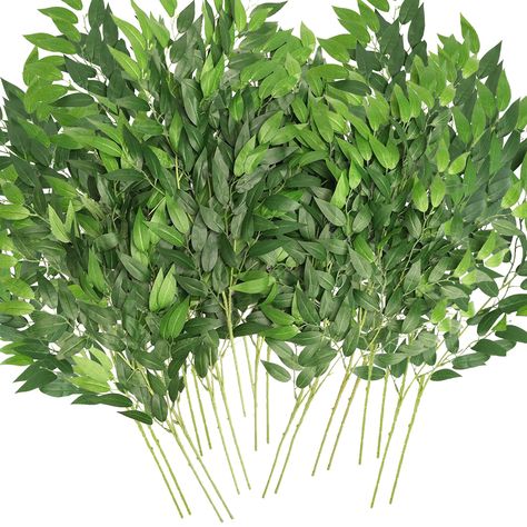 PRICES MAY VARY. [🌿Botanical Elegance Delivered] Indulge in the natural allure of our artificial ltalian ruscus greenery stems, a set of 10 artificial Italian Ruscus sprays, each gracefully extending to 27.6in/70cm. With 16 laterals and 112 pointed green leaves per stem, your décor is about to blossom. [🌿Luxurious Craftsmanship] Elevate your senses with high-quality silk leaves that embody softness and authenticity, accentuated by clear lines. The flexible wire stems, wrapped in plastic, allow Italian Ruscus Greenery, Ruscus Greenery, Hanging Greenery, Arch Table, Centerpiece Home, Italian Ruscus, Greenery Centerpiece, Flower Identification, Eucalyptus Garland