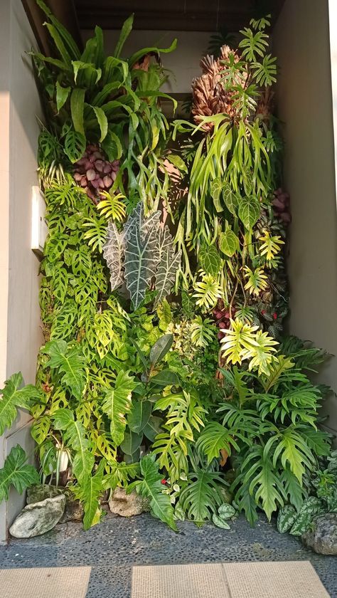 https://youtu.be/MViCx_xkNJg Aroid Garden Design, Green Wall Balcony, Balcony Wall Ideas, Green Wall Ideas, Interior Green Wall, Green Wall Garden, Vertikal Garden, Vertical Garden Plants, Green Wall Design