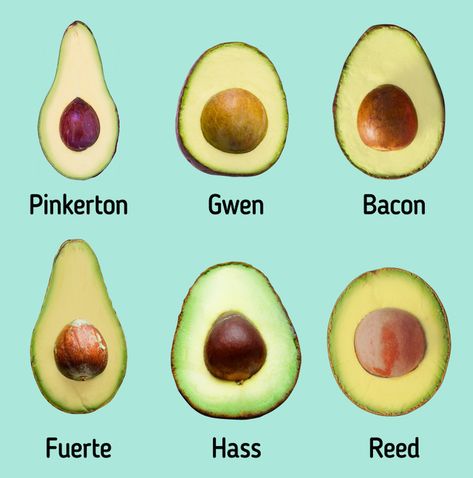 Get to Know Different Types of Avocados / 5-Minute Crafts Types Of Avocado, Green Color Meaning, Unripe Avocado, Avocado Types, How To Make Guacamole, Avocado Seed, Gardening Flowers, Cut It, 5 Minute Crafts