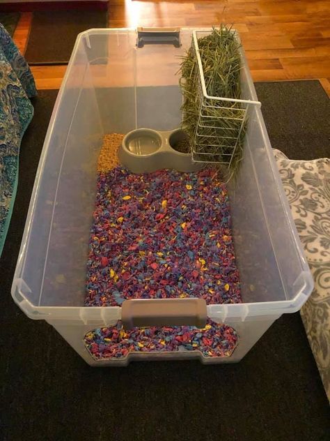 Diy Hay Feeder For Rabbits, Diy Bunny Litter Tray, Hay Storage Ideas Bunny, Diy Rabbit Litter Box And Hay Feeder, Diy Rabbit Hay Feeder, Diy Hay Feeder Rabbit, Guinea Pig Litter Box Ideas, Bunny Litter Box Ideas, Bunny Playground