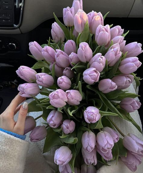 Boquette Flowers, Tulip Bouquet, Nothing But Flowers, Purple Tulips, Flower Therapy, Beautiful Bouquet Of Flowers, Luxury Flowers, Tulips Flowers, Beautiful Bouquet