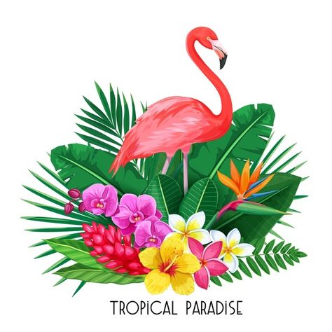 Tropical Banner, Flamingo Vector, Pink Flamingos Birds, Tropical Illustration, Visual Library, Flamingo Tropical, Tropical Background, Plant Vector, Flamingo Bird