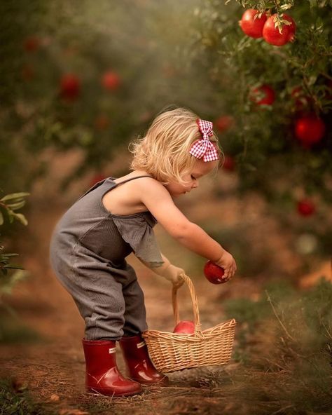 Apple Orchard Photography, Apple Orchard Pictures, Apple Picking Photos, Toddler Portraits, African Figurines, Toddler Photoshoot, Fruits Photos, Farm Kids, Toddler Fall