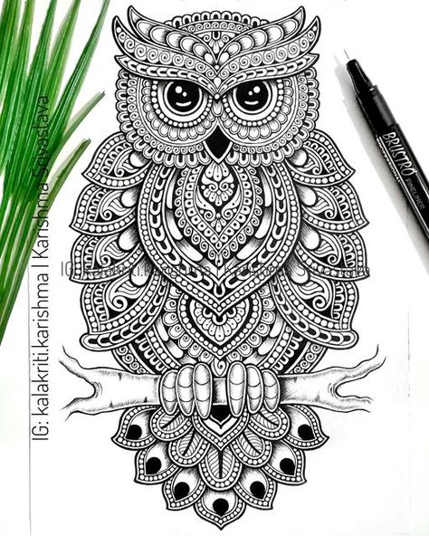 Owl Mandala Art, Kalakriti Karishma, Zentangle Animals Art, Mandala Owl, Owl Outline, Awesome Paintings, Owl Tutorial, Easy Mandala Drawing, Easy Doodle