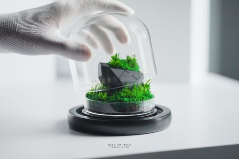 "Moss on Rock" is a desktop terrarium that combines the intricate patterns of tessellated geometries found on rocky surfaces with the latest advances in 3D-printing technology. The use of ZERO Moss symbolizes the passage of time and thought and served as a reminder of the timelessness of the natural world. As light dances across the 3D-printed "R - Rocks", it highlights the complex interplay between form and function. #terraliving #tessellation #mossonrock #terrarium #minimalist #3dprint 3d Printed Terrarium, Desktop Terrarium, Passage Of Time, The Passage, Power Of Nature, Art And Science, 3d Printing Technology, Intricate Patterns, Natural World