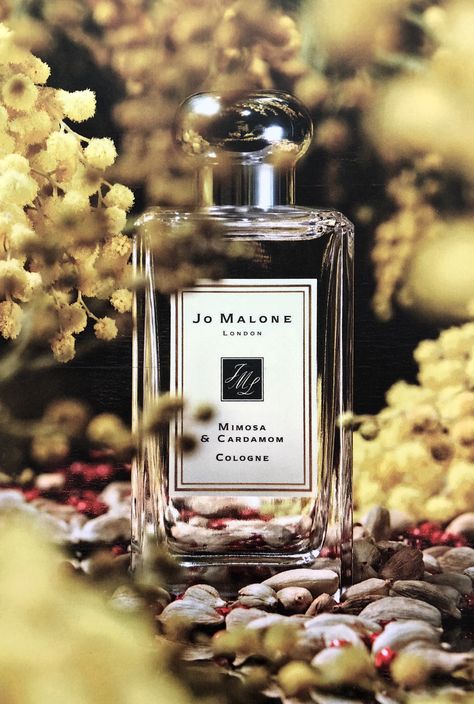 Jo Malone Perfume Mimosa, Mimosa And Cardamom Jo Malone, Ja Malone Perfume, Jo Malone Photography, Jo Malone Mimosa And Cardamom, Jo Malone London Perfume, Jo Malone Fragrance, Jo Malone Perfume, Fragrance Campaign