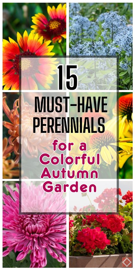 Discover 15 perennials that will make your autumn garden glow with colorful foliage. Our guide highlights the best plants to add vibrant hues to your fall landscape. Perfect for gardeners looking to enhance their garden’s beauty. Save this pin for later and transform your fall garden. Click to explore these stunning perennials! Japanese Painted Fern, Best Perennials, Fall Landscape, Thriving Garden, Best Plants, Indoor Plant Care, Autumn Flowers, Fall Garden, Sustainable Garden