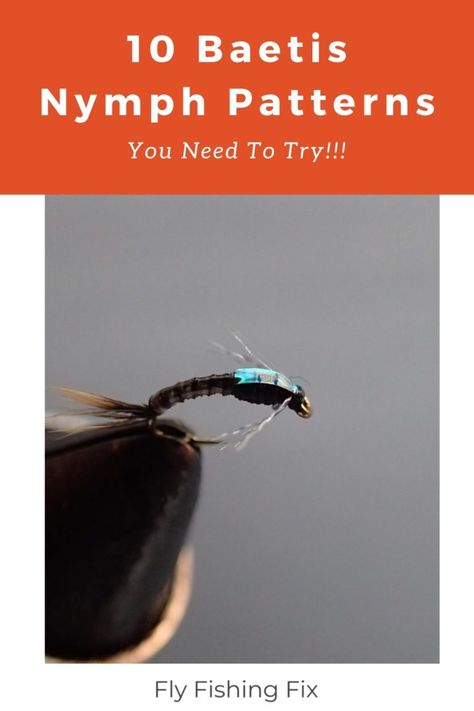 Pattern To Draw, Beginner Fly Tying, Best Trout Flies, Fishing Knots Tutorials, Fly Fishing Nymphs, Fly Fishing For Beginners, Fly Drawing, Fly Fishing Flies, Drawn Fish