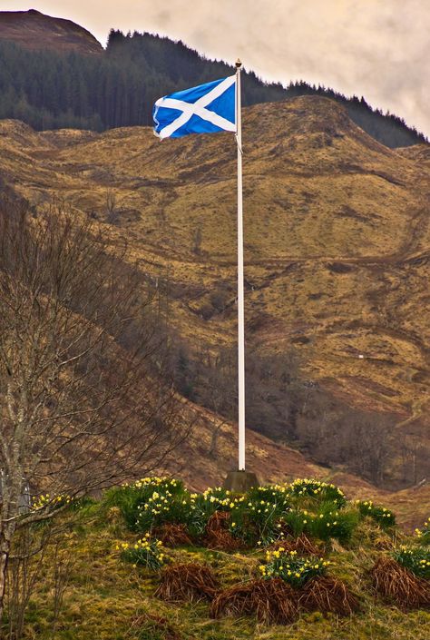 Flag near Eliean Donan castle Scotland Flag, Scottish Flag, Eilean Donan Castle, Scotland History, Eilean Donan, Scottish Castles, College Town, Glasgow Scotland, Flags Of The World