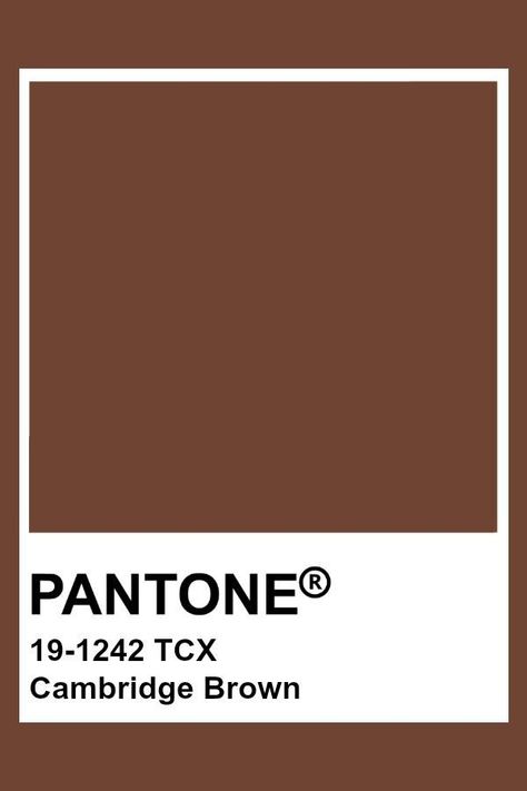 Pantone Swatches Brown, Earth Brown Color, Pantone Chocolate Brown, Brown Colour Pantone, Brown Swatches Colour Palettes, Downtown Color Palette, Brown Pantone Palette, Pantone Colors Brown, Pantone Brown Shades