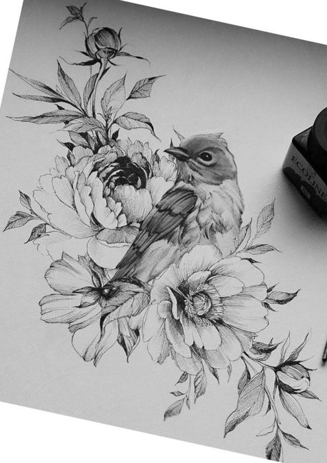 Love the hell out of this.   No bird.   Peony and Trillium.   Peony have some texture but be soft no harsh outlines.  Maybe a few branches Bird And Flower Tattoo, Tier Tattoo, Tattoo Zeichnungen, Bird Sketch, Tattoo Desings, Birds Tattoo, Bird Drawings, Tattoo Design Drawings, A Pencil