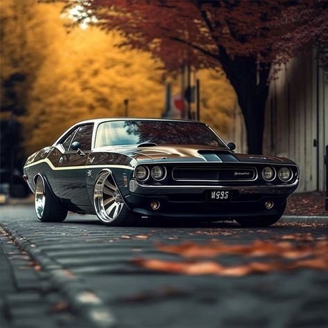 Muscle Cars on Instagram: "#dodge #challenger _ #Classic #classics #Classiccar #classiccars #americanmuscle #Musclecar #Musclecars #car #cars" 60s Muscle Cars, Plymouth Road Runner, Premier Lig, Plymouth Duster, Old Muscle Cars, Car Quotes, Dodge Muscle Cars, Aesthetic Car, Mopar Muscle Cars