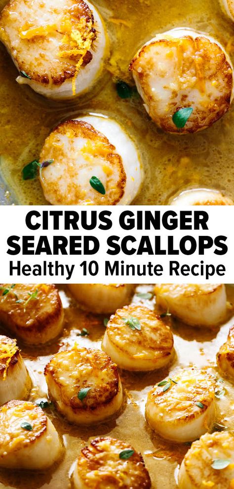 Whole 30 Scallop Recipes, Dairy Free Scallop Recipes, Heart Healthy Scallop Recipes, Summer Scallop Recipe, Mediterranean Diet Scallops Recipe, Healthy Scallop Recipes Clean Eating, Low Cal Seafood Recipes, Scallop Dinner Recipes Healthy, Ginger Dinner Recipes