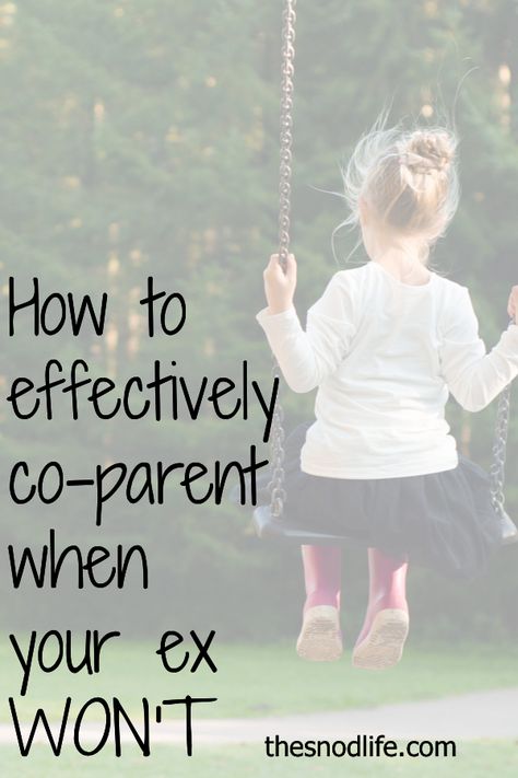 Parallel Parenting, Divorce With Kids, Family Advice, Dentist Visit, Single Mom Life, Divorced Parents, Parenting Plan, Kids Schedule, Divorce And Kids