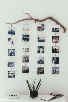 Brittany Burke, Video Background Ideas, Takken Decor, Polaroid Wall, Decor Ikea, Diy Room, Diy Photo, Decorate Your Room, Tree Branch