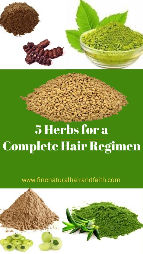 herbs for hair care regimen Faith Growth, Ayurveda Hair Care, Ayurveda Herbs, Haircare Natural, Ayurveda Hair, Herbal Hair Care, Ayurveda Beauty, Herbs For Hair Growth, Ayurvedic Hair Care