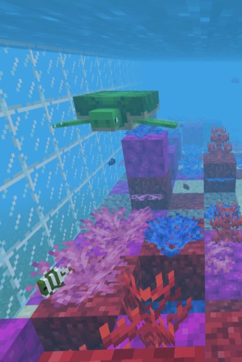 Liquid Measurements: Students will use the fill command to fill up a liter measuring cup. Then the will design an aquarium that is 1000 blocks or 1,000,000 liters. They will build the aquarium with the fill command and make a coral reef. Coral Reference, Minecraft Aquarium, Liquid Measurements, Coral Aquarium, Coral Reef Aquarium, Reef Aquarium, The Aquarium, Minecraft Architecture, Wedding Dress Pictures