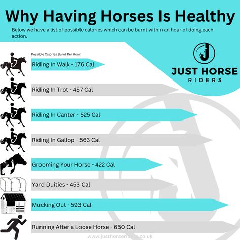 Did you know? www.justhorseriders.co.uk  #equestrian #horsegirl #justhorseriders #horseriding #horselife #horselover #equestrianlife #horse #pony #funny Things Only Horse Riders Understand, Equestrian Tips, Equine Vet, Equine Anatomy, Funny Horse Memes, Horse Memes, Equestrian Quotes, Horse Facts, Equestrian Problems