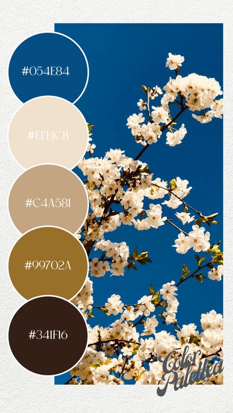 25 gorgeous color palettes inspired by the Pantone Spring 2023 Color trends to bring these energiessensationsand beauty to your project Pantone Spring 2023, Spring 2023 Color Trends, Spring Nail Colors 2023, Nails 2023 Color Trends, 2023 Color Trends, Nail Colors 2023, Pantone 2024, March Colors, August Colors