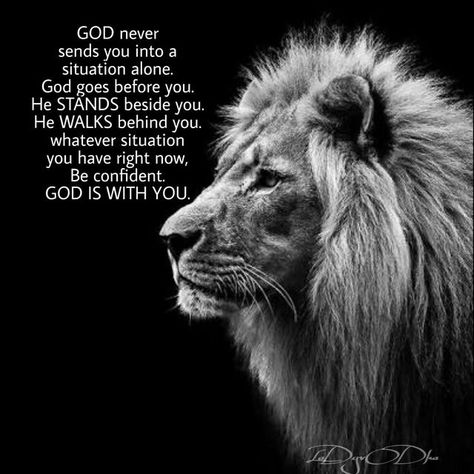 Thank you Father for always having my back! Lion Quotes, Warrior Quotes, Word Up, Lion Of Judah, Badass Quotes, A Lion, Motivational Quotes For Life, Prayer Quotes, Verse Quotes