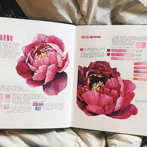 @ameliaakate Kunstjournal Inspiration, Botanical Sketchbook, Sketchbook Layout, Natural Form Art, Art Alevel, Gcse Art Sketchbook, A Level Art Sketchbook, Instagram Light, Illustration Botanique