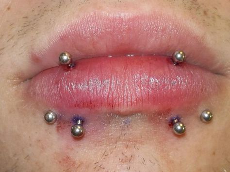 Double vertical Lebret and snakebites Vertical Snakebites, Double Lip Piercing, Piercing Claims, Snakebites, Piercing Kit, Cool Piercings, Facial Piercings, Eyebrow Piercing, Tongue Piercing