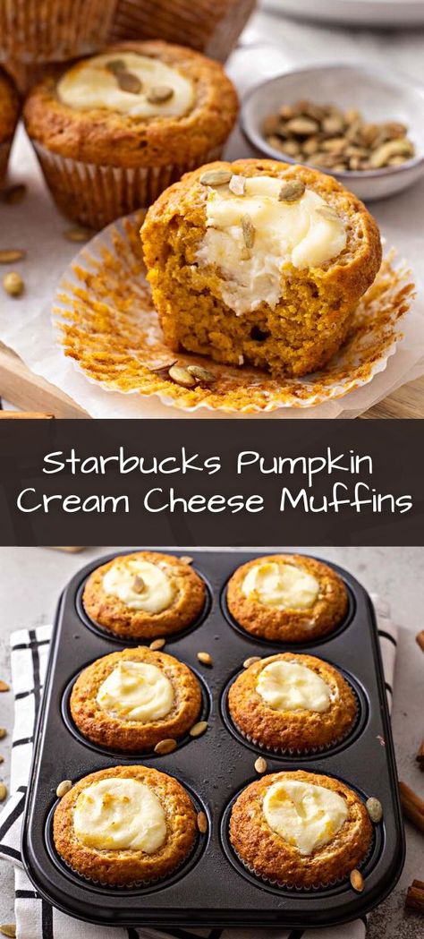 Starbucks Copycat Muffins, Pumpkin Cream Cheese Muffin Recipes, Pumpkin Muffins With Maple Cream Cheese, Pumpkins Cream Cheese Muffins, The Best Pumpkin Bread With Brown Butter Maple Icing, Pumpkin Muffins Starbucks Copycat, Pumpkin Carmelicious Muffins, Yummy Muffins Recipes, Fall Pumpkin Muffins